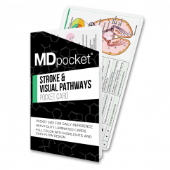 MDpocket® Stroke Syndrome & Visual Pathways Card